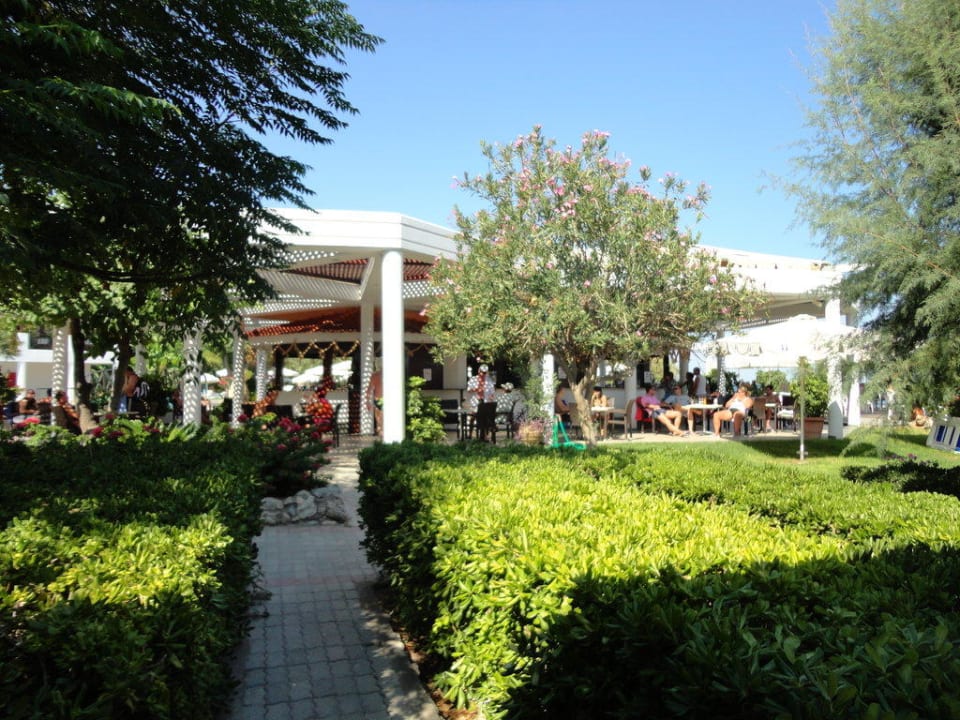 Gartenanlage Hotel Calypso Beach