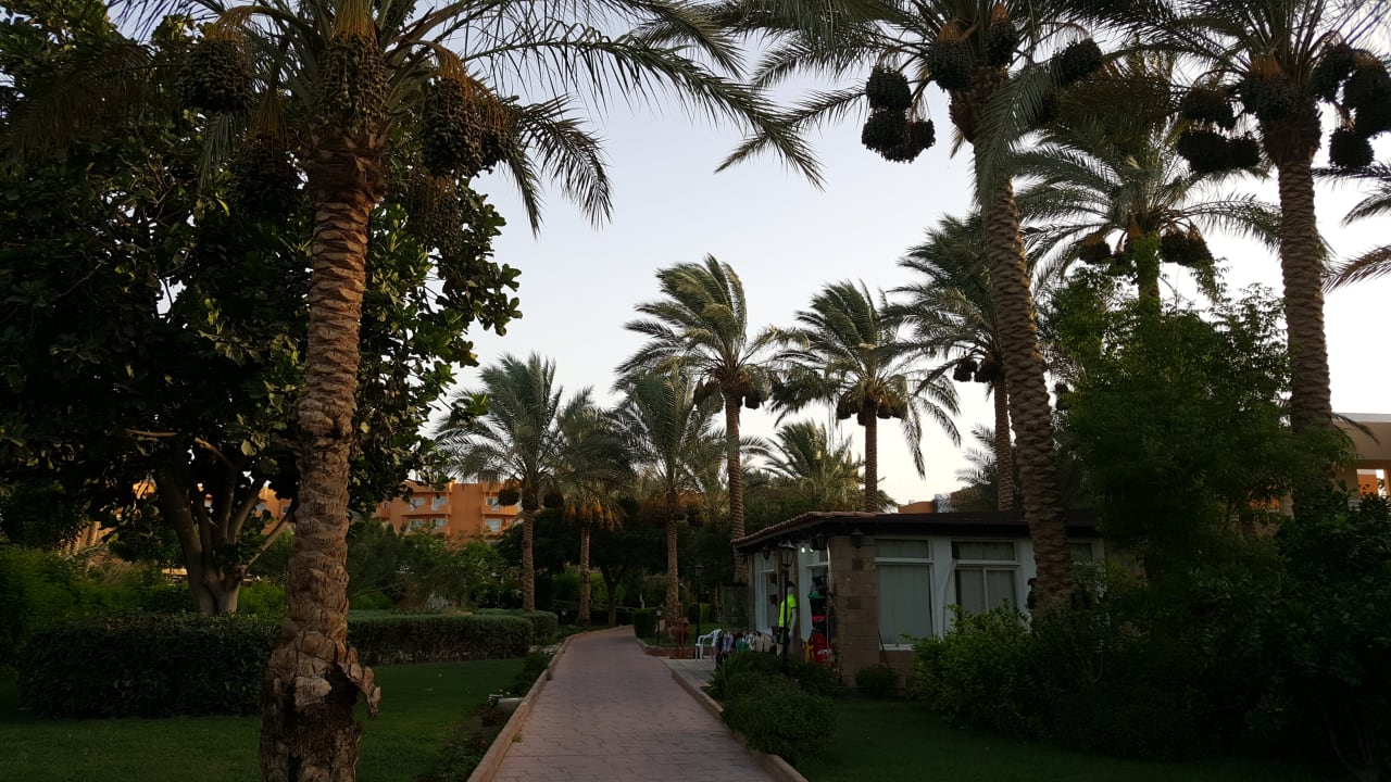Gartenanlage Golden Beach Resort