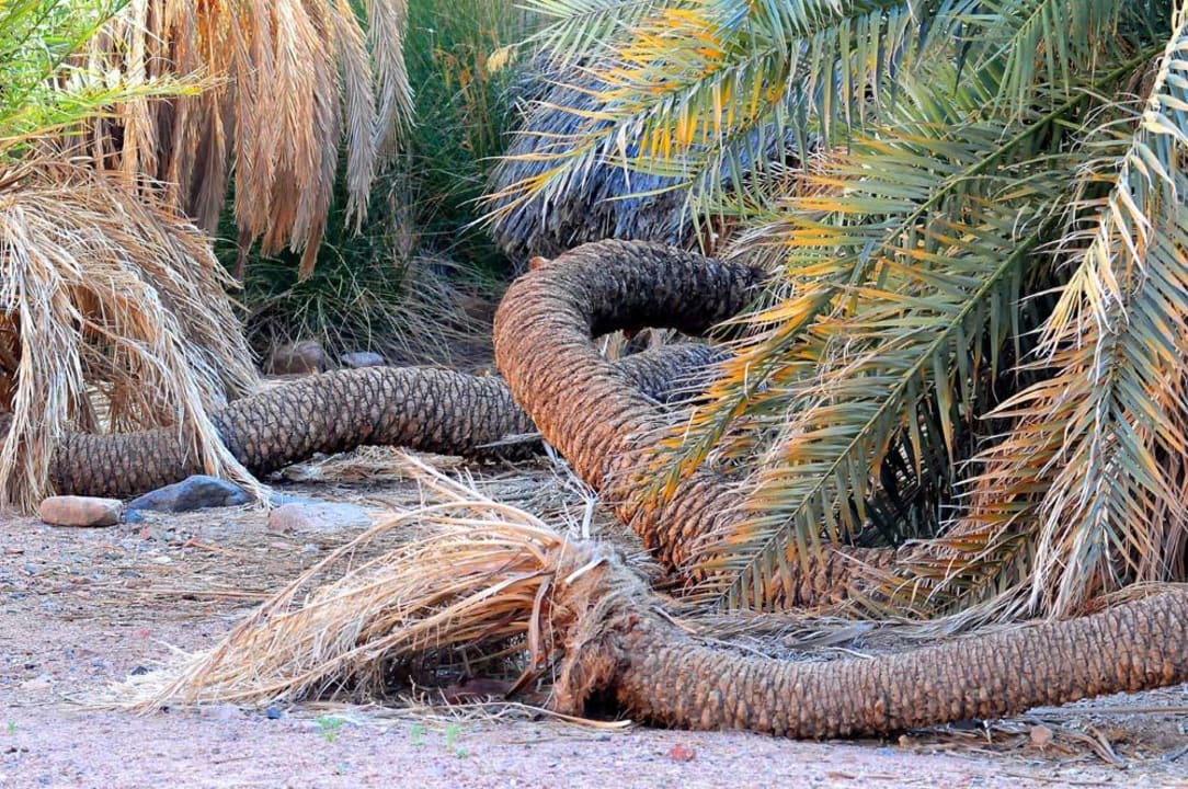 Wadi gleich neben dem Hotel Happy Life Village