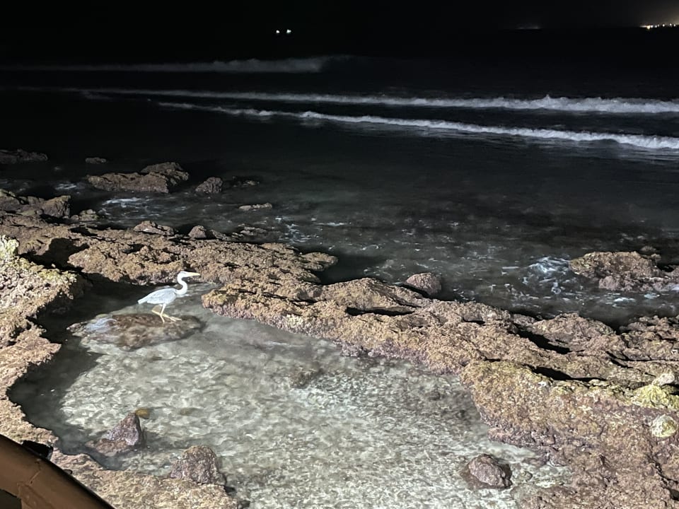 Strand Cinnamon Dhonveli Maldives