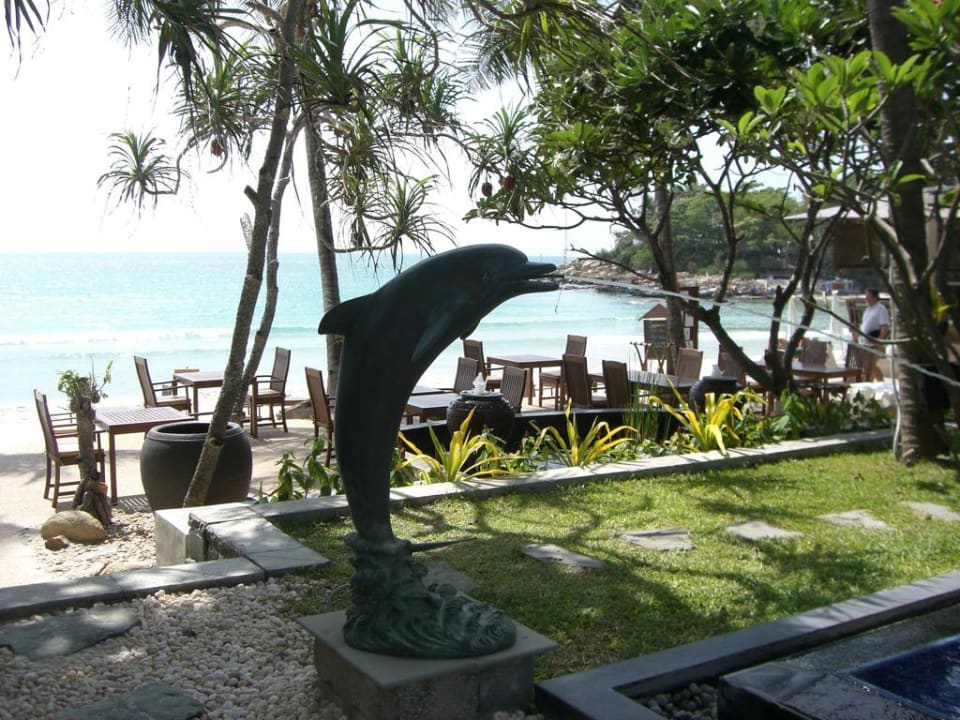 Mittagessen Samui Paradise Chaweng Beach Resort & Spa