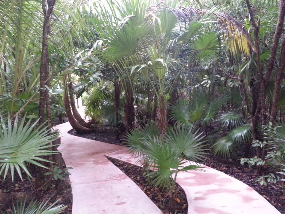 Wege zu den Zimmern Catalonia Playa Maroma