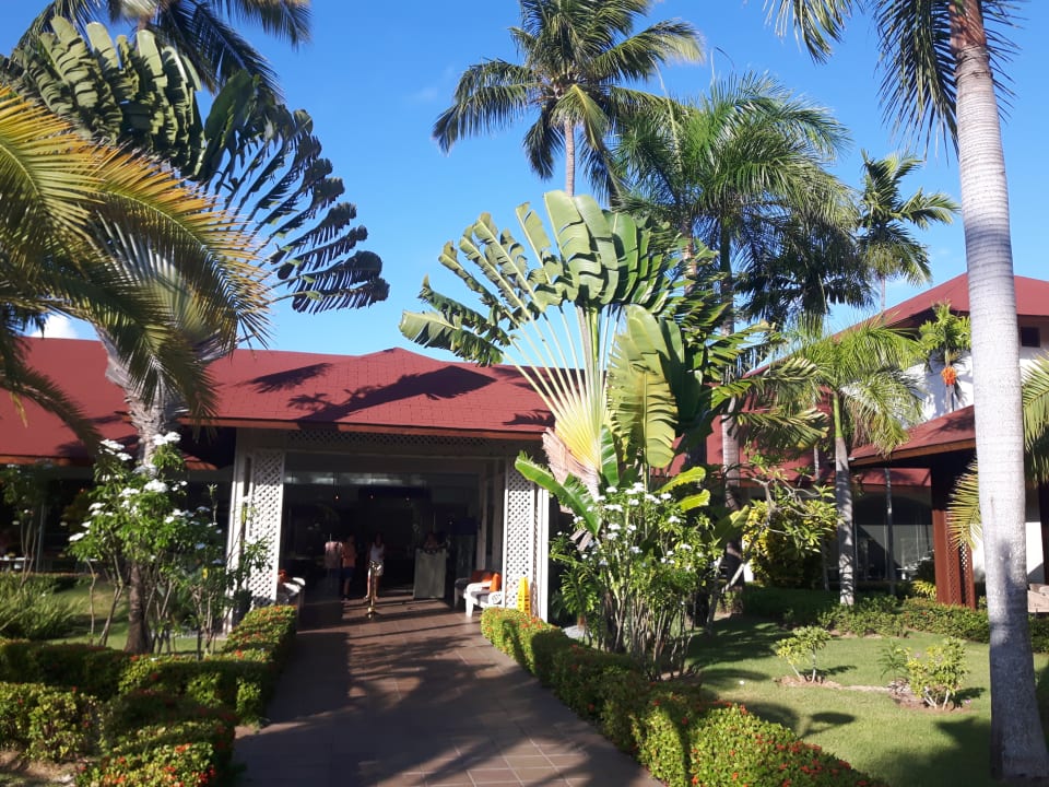 Garten Hotel Grand Palladium Palace Resort, Spa & Casino