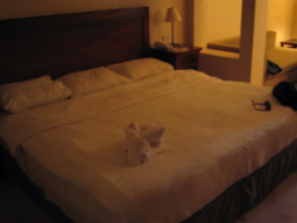 Bett Ghazala Gardens