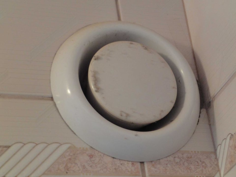 Spinnweben Hotel Birkenhof am See