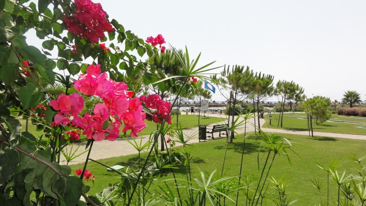 Allée menant à la plage Voyage Belek Golf & Spa