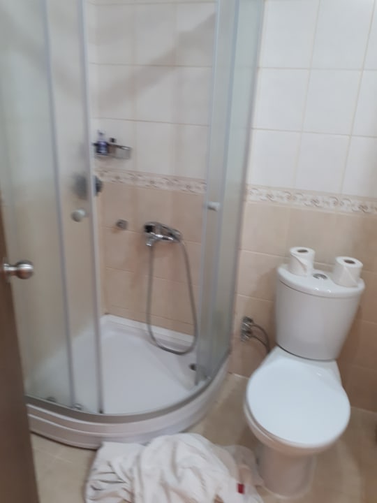 Zimmer Sayanora Hotel