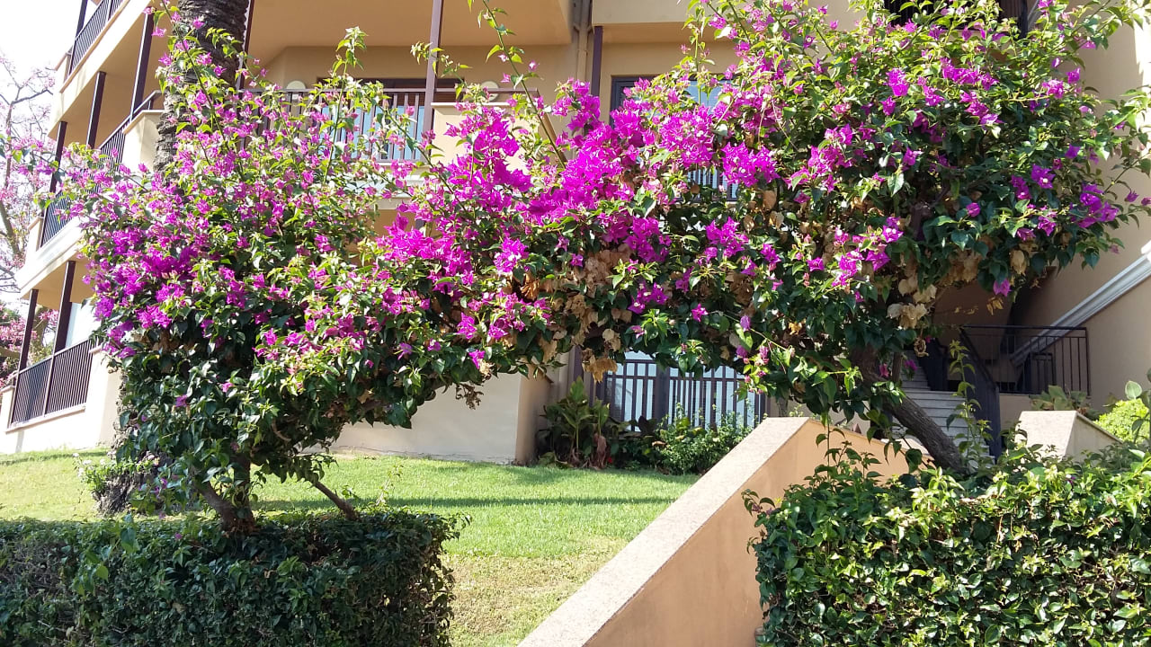 Gartenanlage Asteria Family Belek