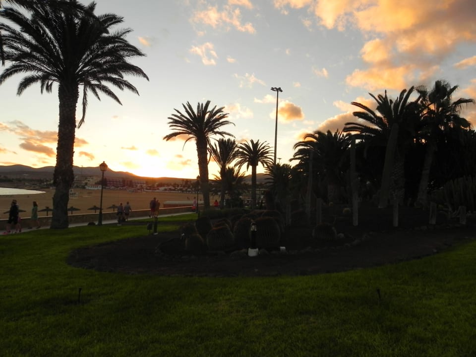 Ogród Barceló Fuerteventura Castillo
