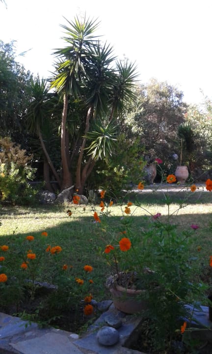 Garden Hotel Lofos Plakias Hotel Lofos Plakias