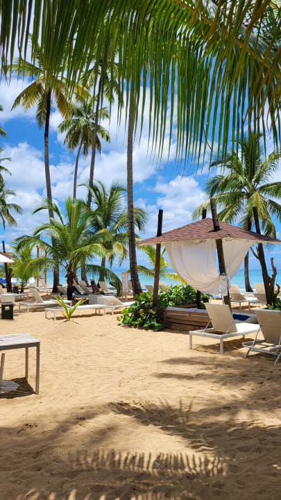 Strand Viva V Samana by Wyndham – Adults Only