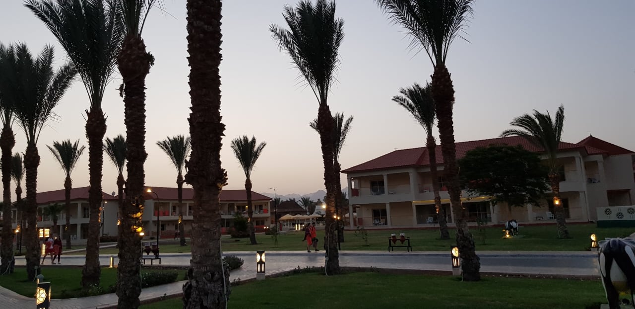 Außenansicht Pickalbatros Aqua Blu Resort - Sharm El Sheikh