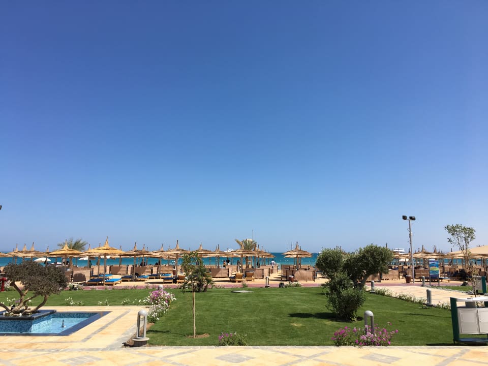 Ausblick Pickalbatros White Beach Resort - Hurghada