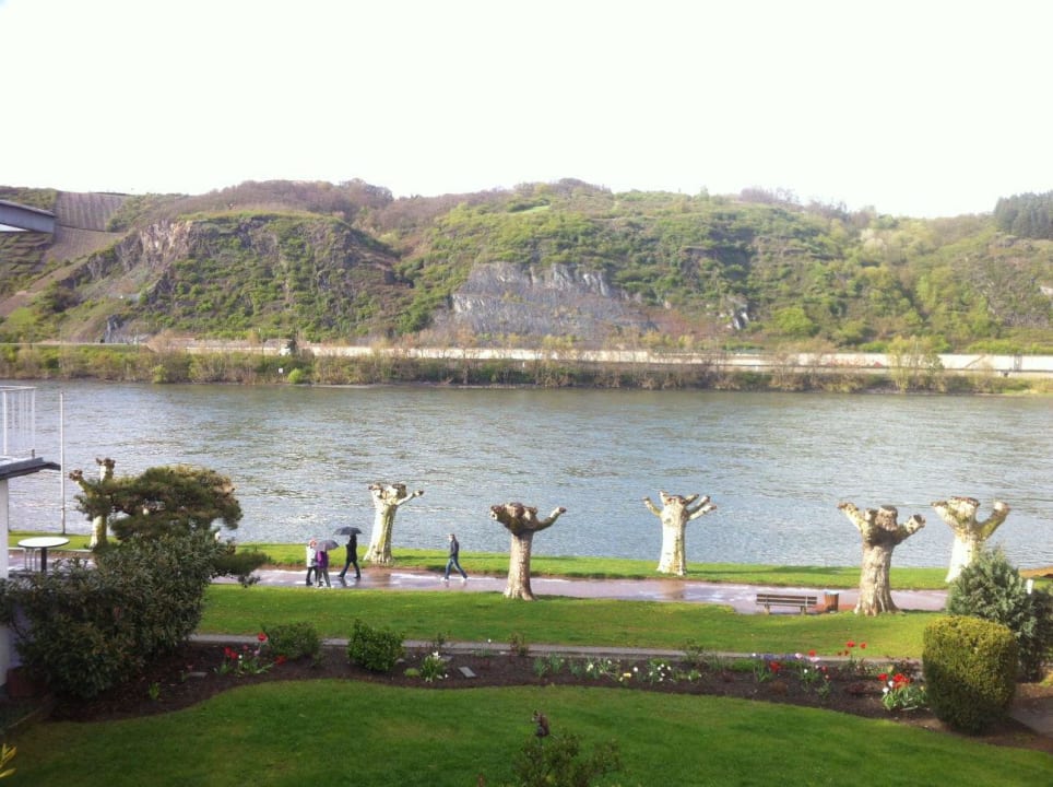 Hotel Villa am Rhein Hotel Villa am Rhein