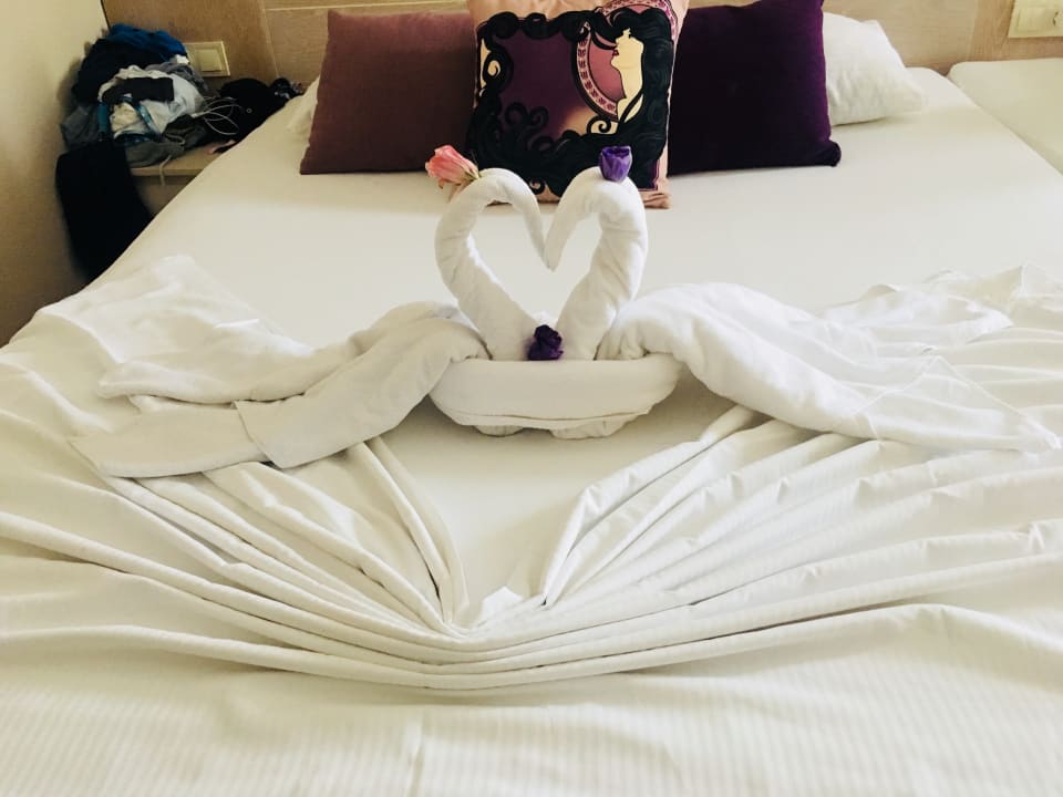 Zimmer Seaden Sea Planet Resort & Spa