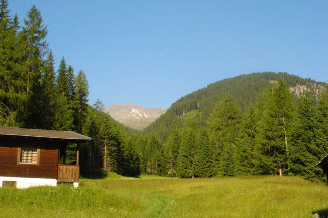 Sommerurlaub wie er sein soll Ferienbungalows Mohr