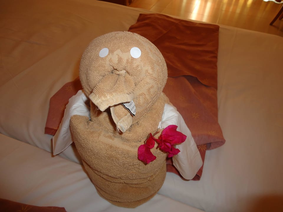 Süsse Motive von der Reinigungskraft SBH Costa Calma Beach Resort