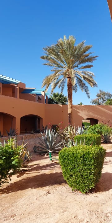 Gartenanlage Club Paradisio El Gouna, Red Sea