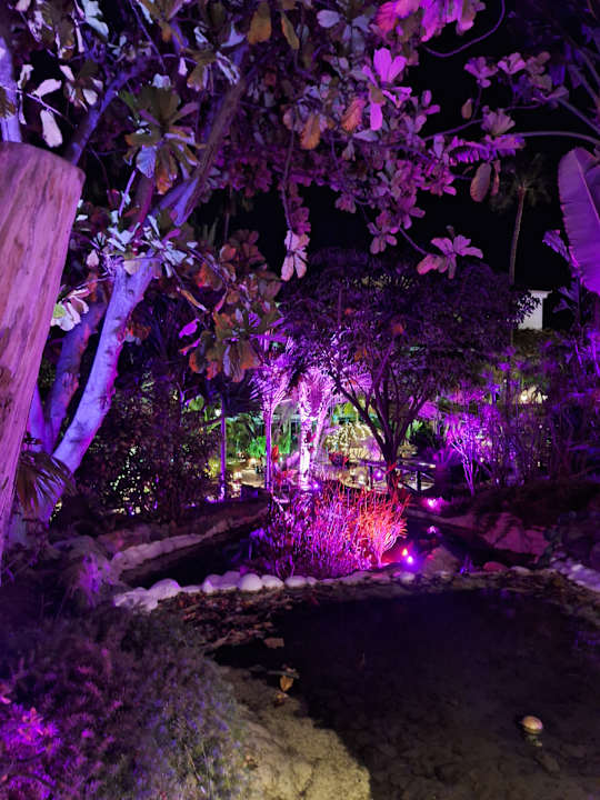 Gartenanlage Hotel Parque Tropical