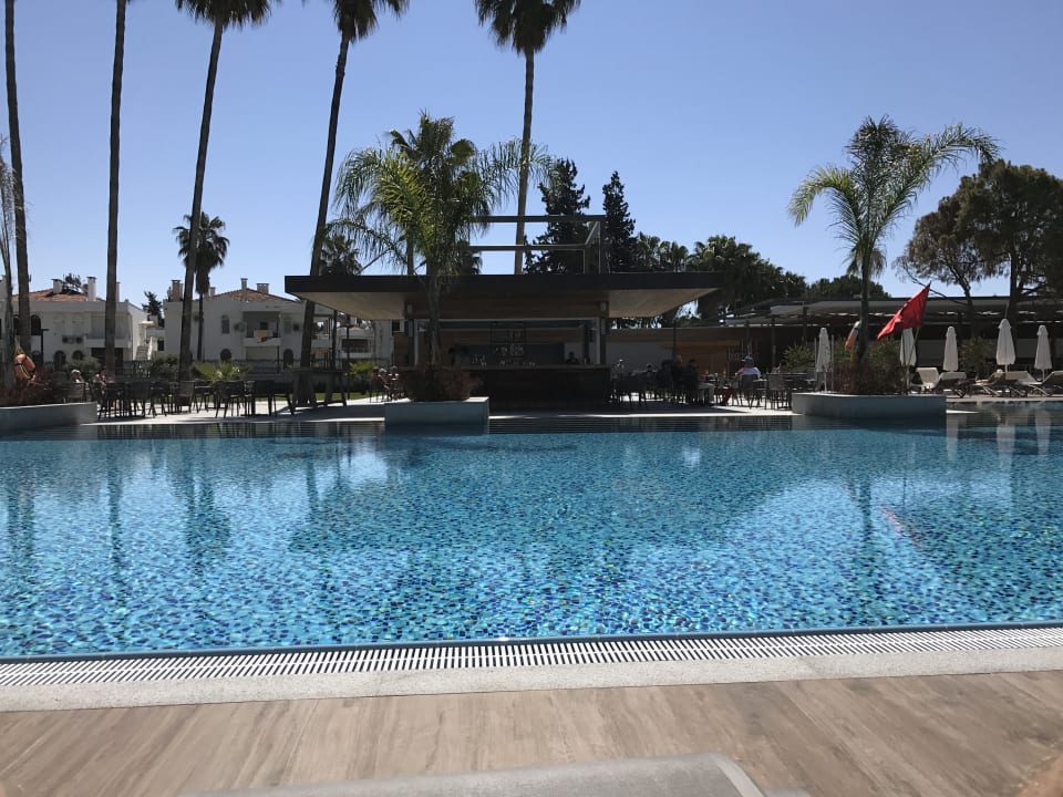 Pool Acanthus Cennet Barut Collection