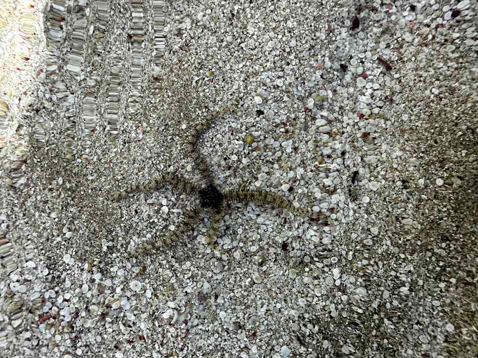 Strand Coral Hills Resorts & SPA