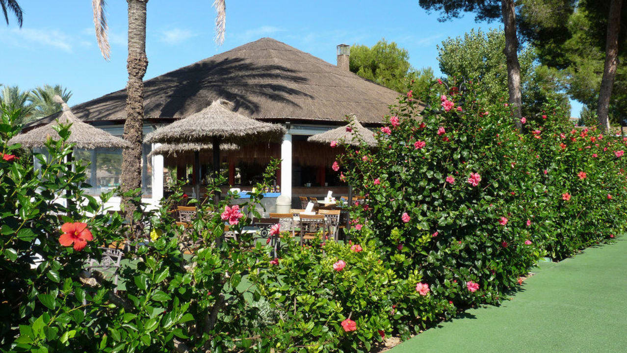 Wunderschöner Garten Prinsotel La Dorada