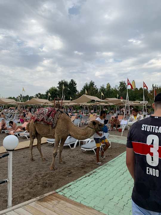 Strand Hotel Delphin Imperial