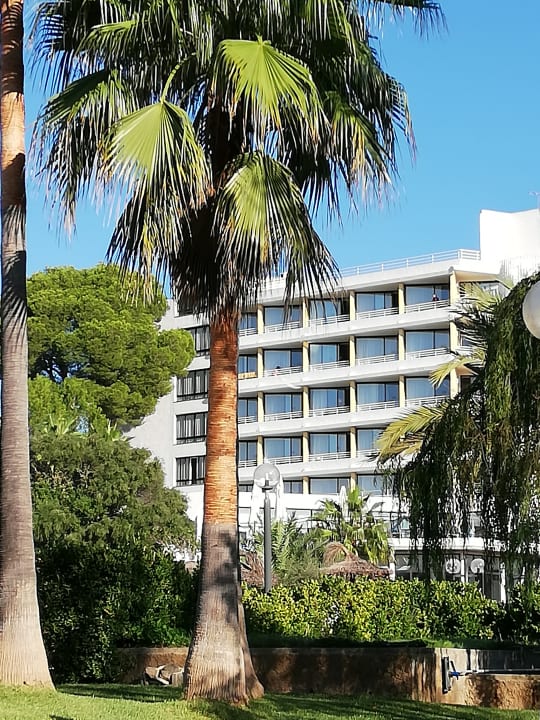 Gartenanlage Hotel Exagon Park