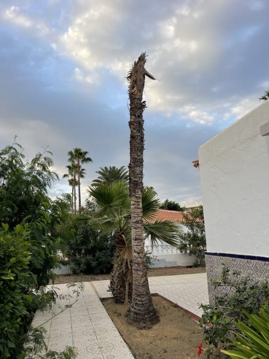 Gartenanlage San Valentin & Terraflor Park