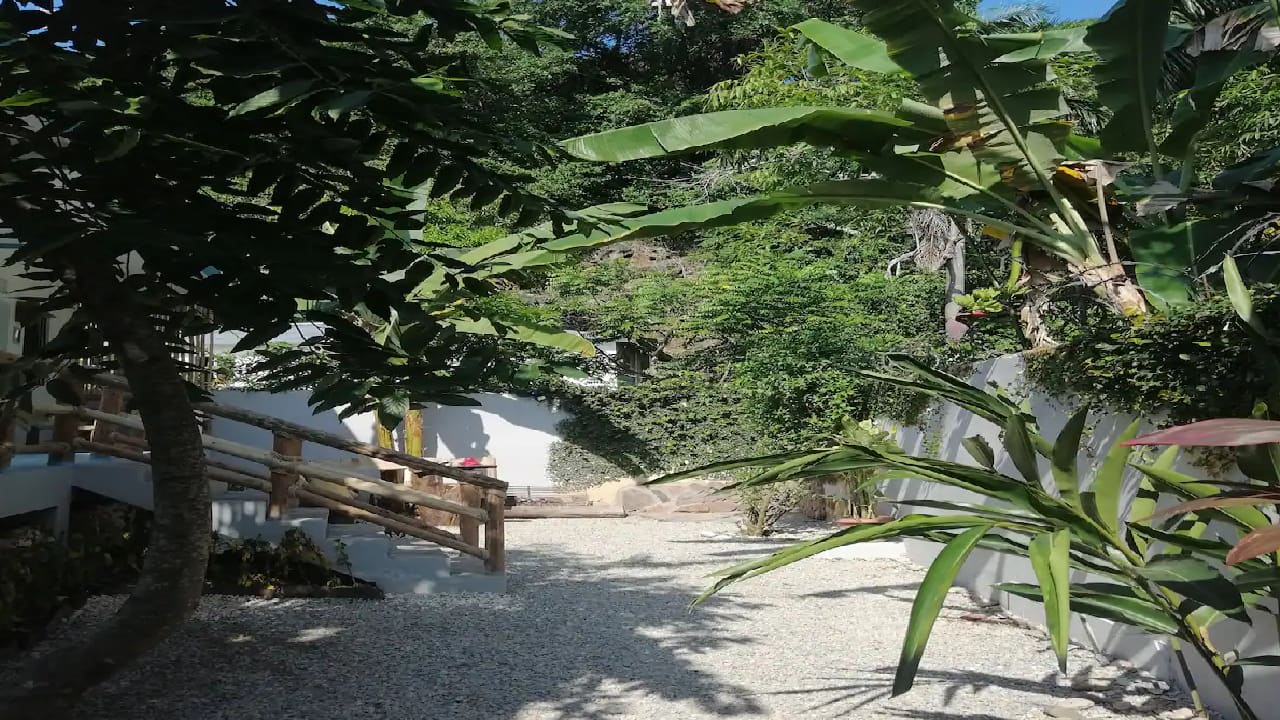 Gartenanlage Guesthouse Jardin Del Caribe
