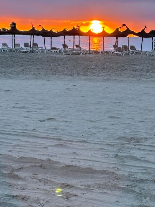 Ausblick Grupotel Los Principes & Spa