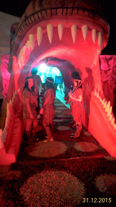 Silvester 2015/16 Beach Albatros Resort