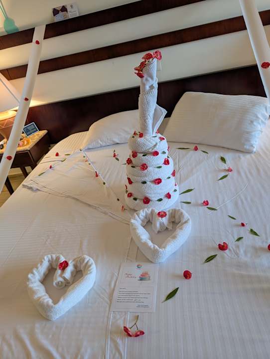 Zimmer Malikia Resort Abu Dabbab