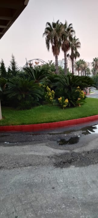 Gartenanlage Saturn Palace Resort Hotel