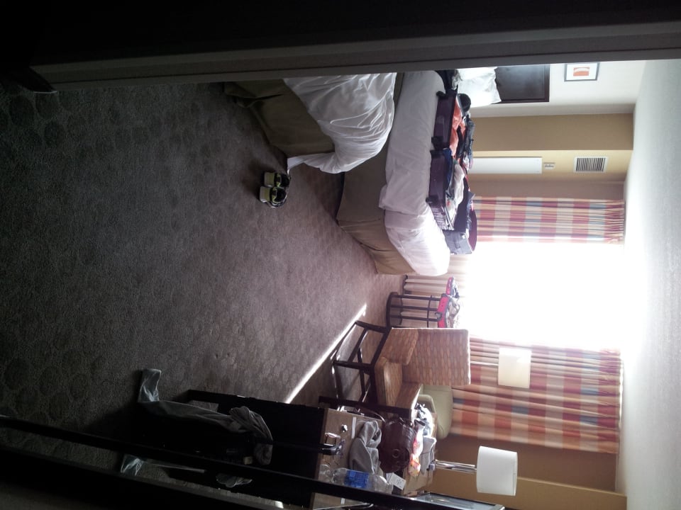 Bisschen Chaos  Hotel Circus Circus