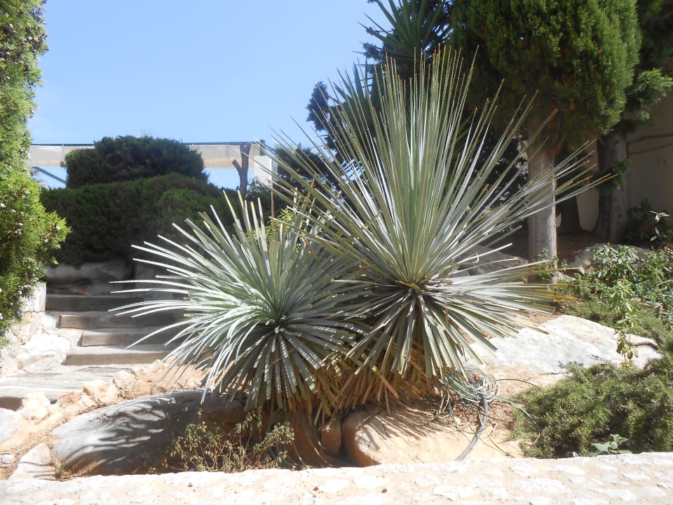 Sonstiges Welikehotel Marfil Playa