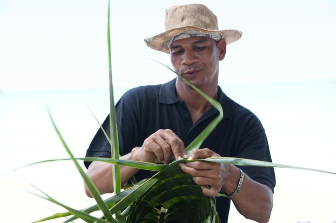 Activities Paradise Sun