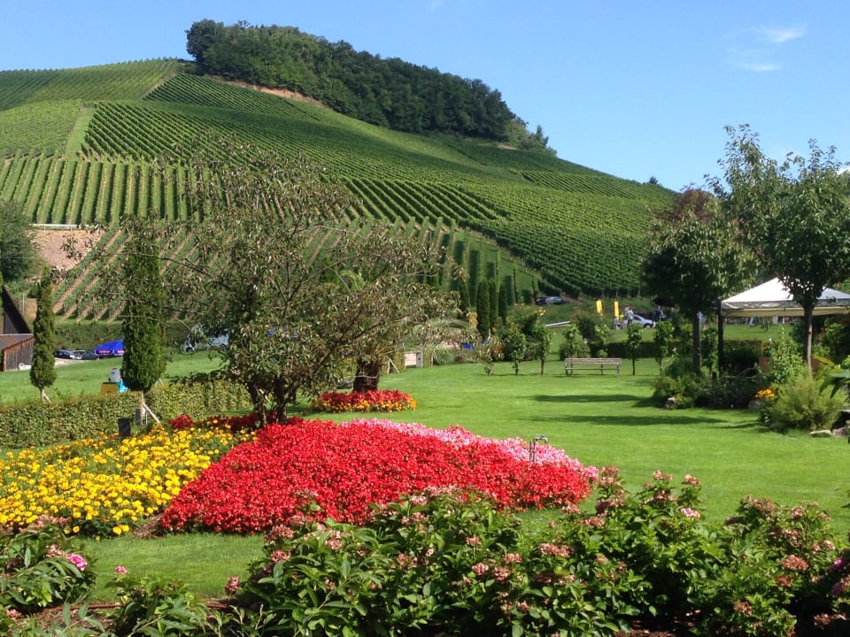 Gartenanlage Hotel Restaurant Rebstock Durbach