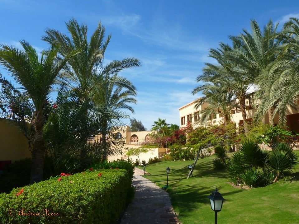 Weg zum Amphitheater Steigenberger Coraya Beach - Adults only