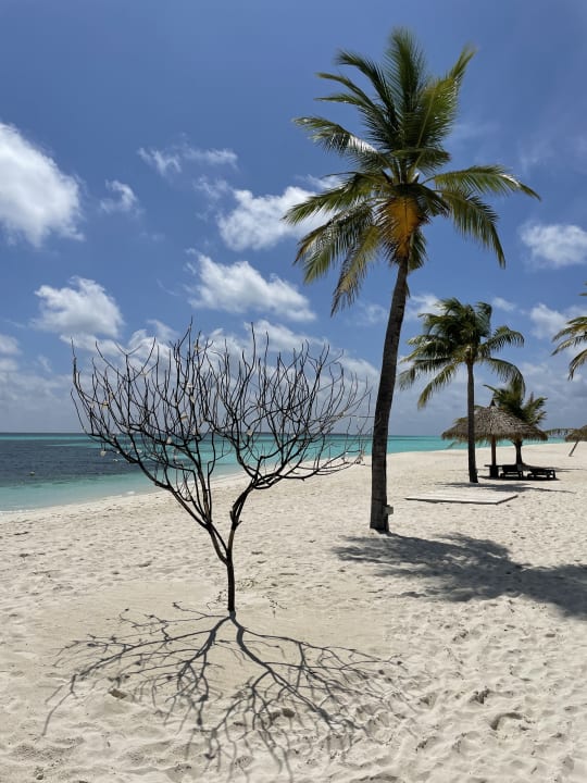 Strand Kuredu Island Resort & Spa