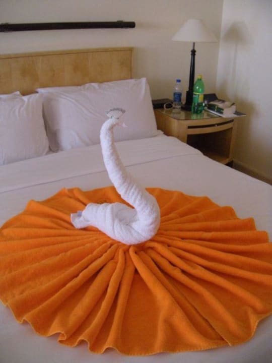 Schwan Savoy Sharm El Sheikh