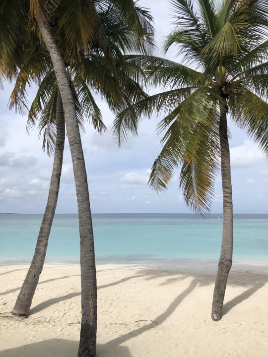 Strand Anantara Veli Maldives Resort - Adults only