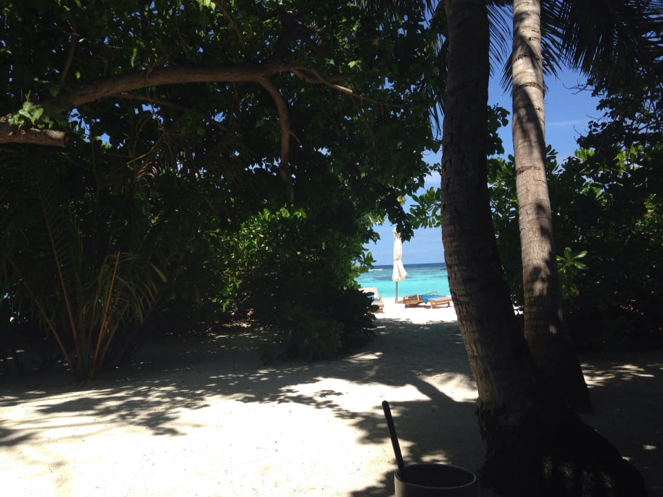 Aussicht Beachvilla Velassaru Maldives