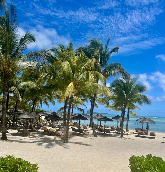 Strand Zilwa Attitude