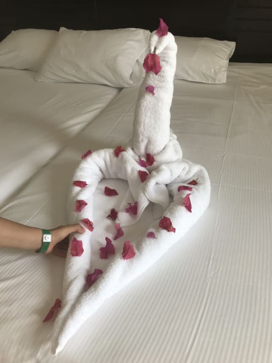 Zimmer Pickalbatros Royal Moderna Resort-Sharm El Sheikh