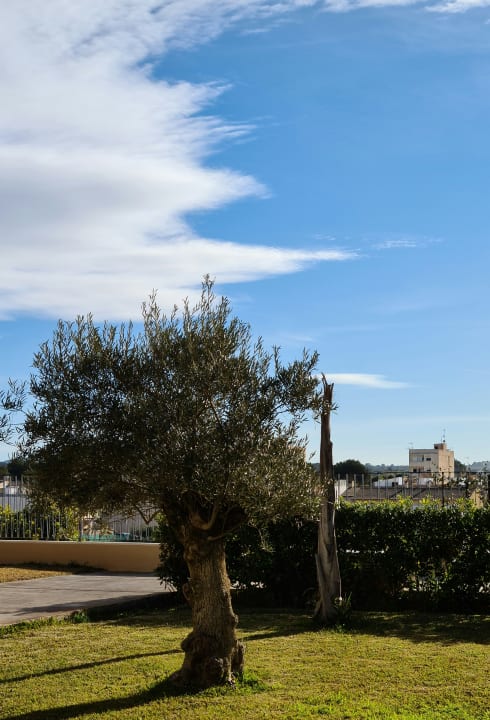 Gartenanlage Grupotel Playa de Palma Suites & Spa