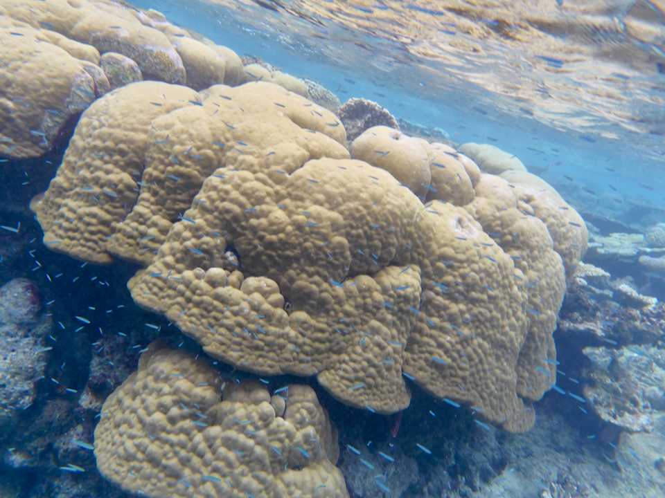 Strand ROBINSON MALDIVES