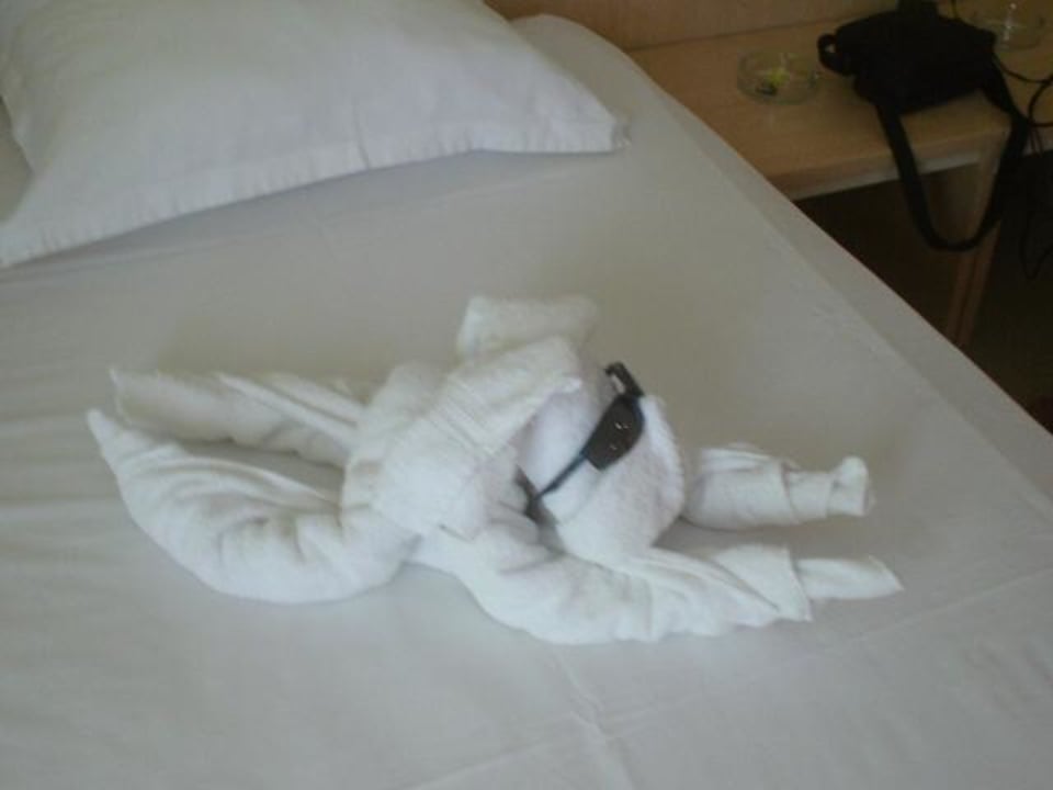 Wykonane przez sprzątaczkę Park Hotel Golden Beach