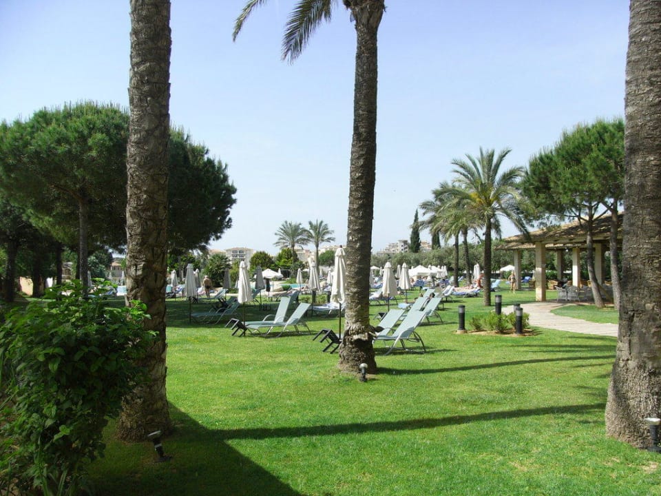 Teilansicht Pool-/Gartenanlage Hipotels Hipocampo Palace & Spa