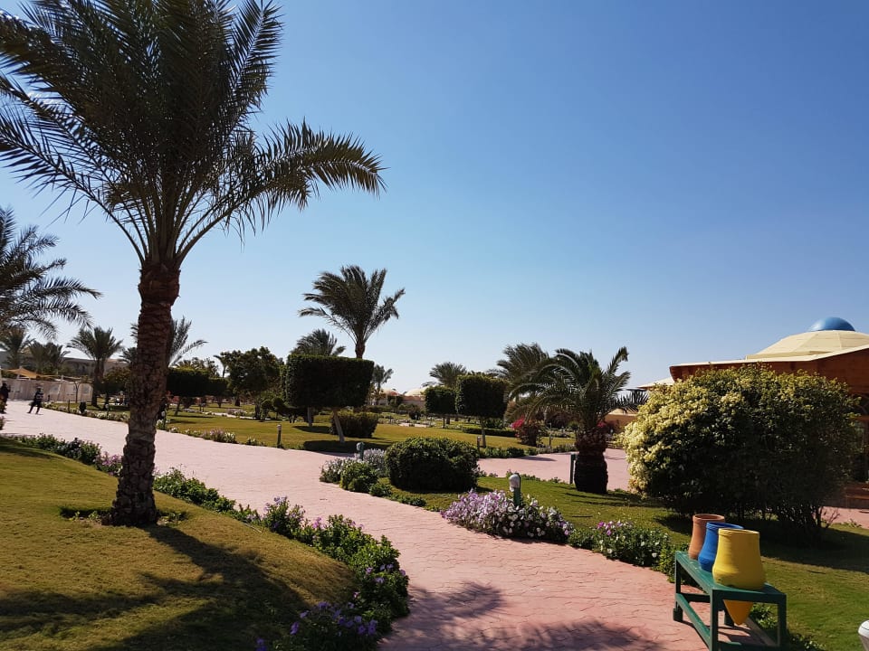 Desert Rose Resort Desert Rose